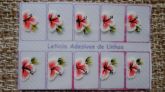 Adesivos com 10 unid. - 0080